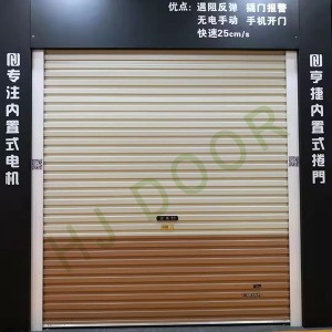 Australian Roller door